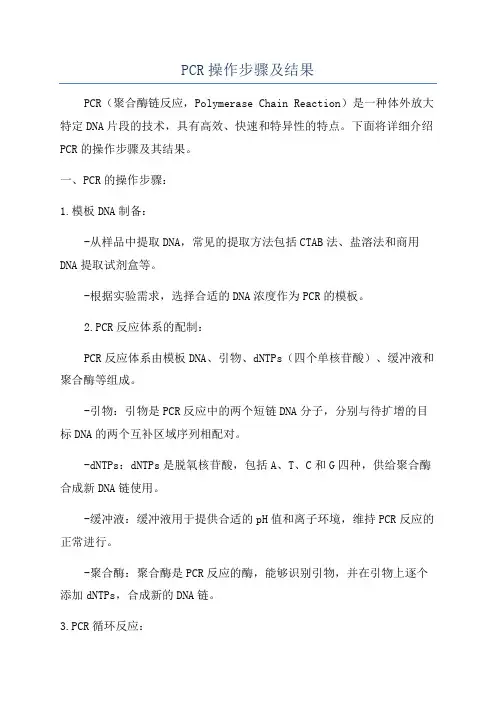 PCR操作步骤及结果