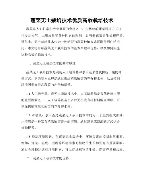 蔬菜无土栽培技术优质高效栽培技术