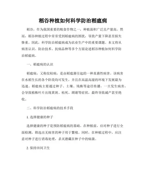 稻谷种植如何科学防治稻瘟病