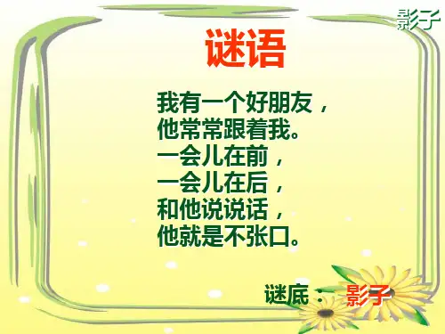 好《影子》ppt课件完整版