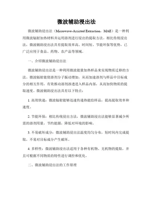 微波辅助浸出法