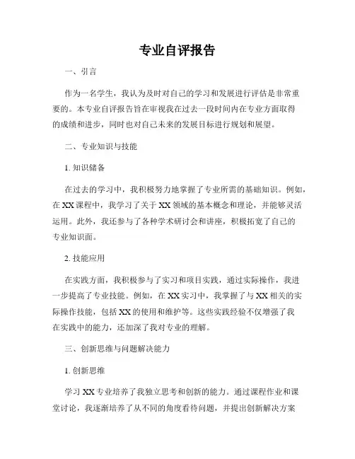 专业自评报告