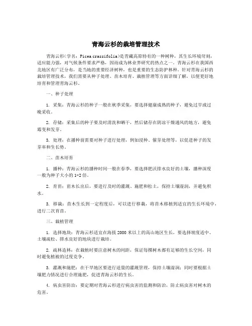 青海云杉的栽培管理技术