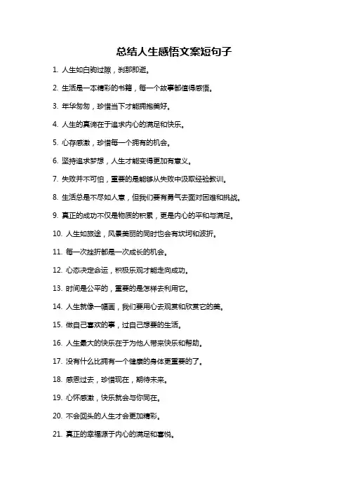 总结人生感悟文案短句子