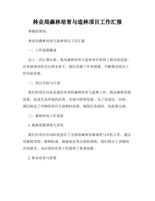 林业局森林培育与造林项目工作汇报
