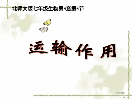 生物七年级北师大版 运输作用 精品课件