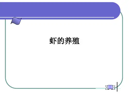 水产经济动物：罗氏沼虾的养殖