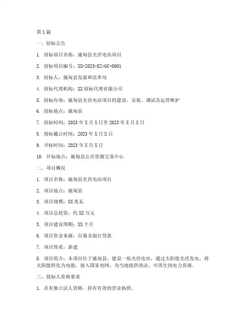 施甸县光伏电站招标文件(3篇)