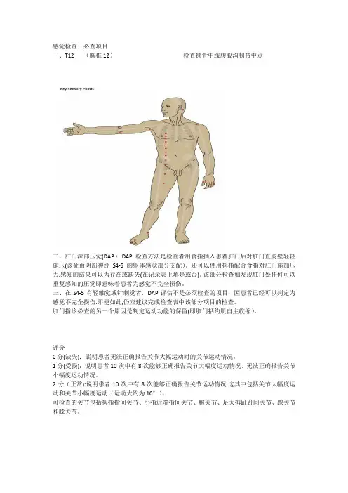 截瘫评估和康复训练