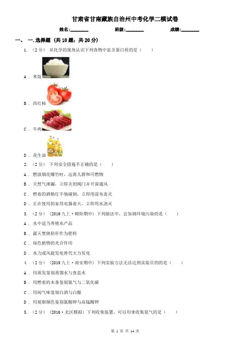 甘肃省甘南藏族自治州中考化学二模试卷