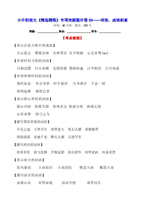 小升初语文《精选精练》专项突破提升卷05——词语、成语积累(含详细解答)