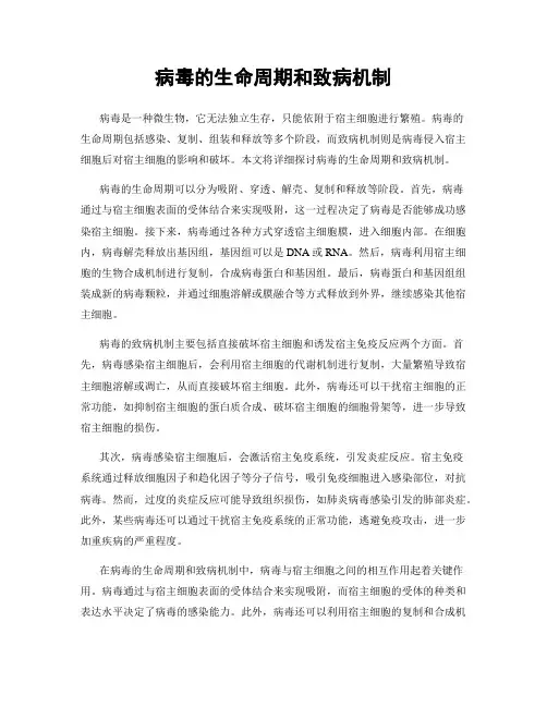 病毒的生命周期和致病机制