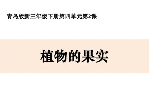 植物的果实