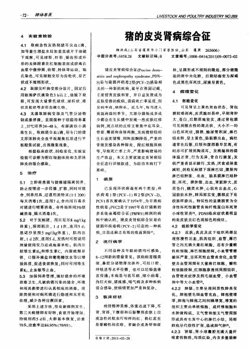 猪的皮炎肾病综合征