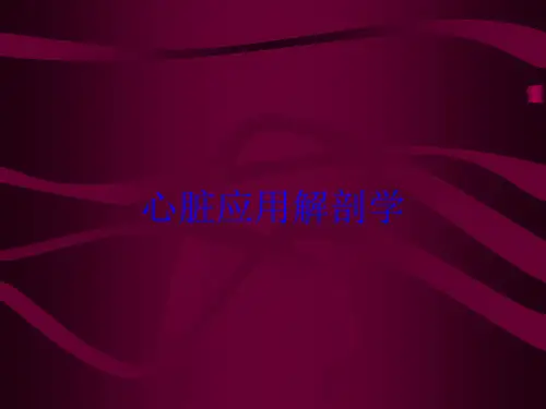 心脏应用解剖学培训课件