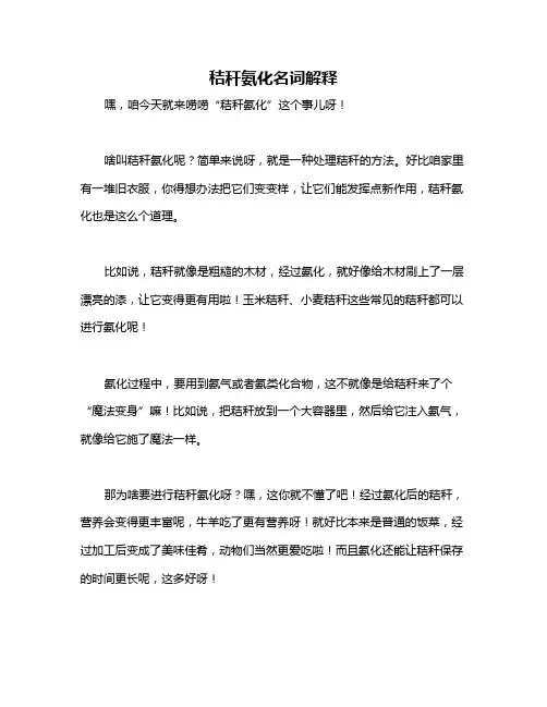 秸秆氨化名词解释