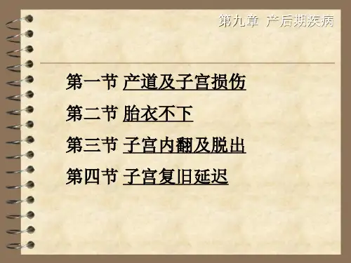 9兽医产科学第9章教学课件