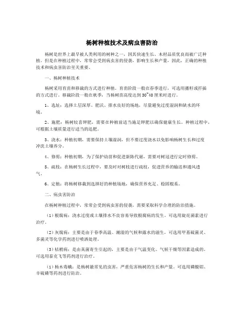 杨树种植技术及病虫害防治