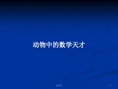 动物中的数学天才PPT教案