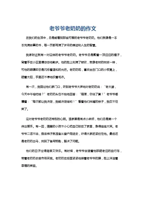 老爷爷老奶奶的作文