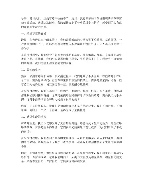 采草莓劳动实践心得体会