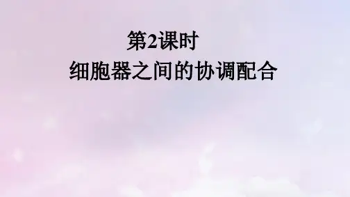新教材高中生物第3章细胞的基本结构第2节第2课时细胞器之间的协调配合pptx课件新人教版必修1