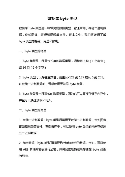 数据库byte类型
