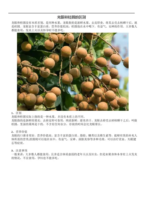 龙眼和桂圆的区别