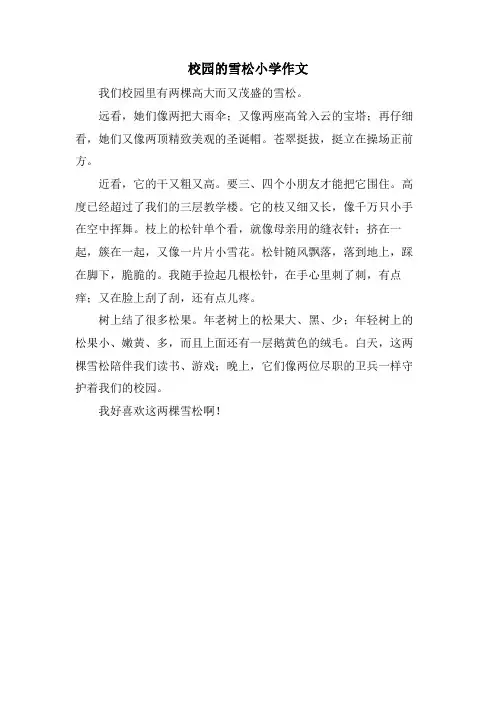 校园的雪松小学作文