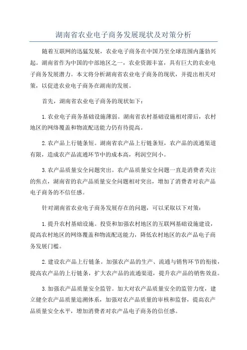 湖南省农业电子商务发展现状及对策分析