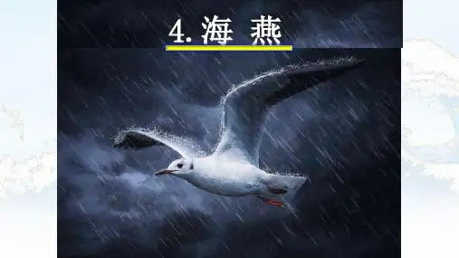 第4课《海燕》课件(共33张PPT)