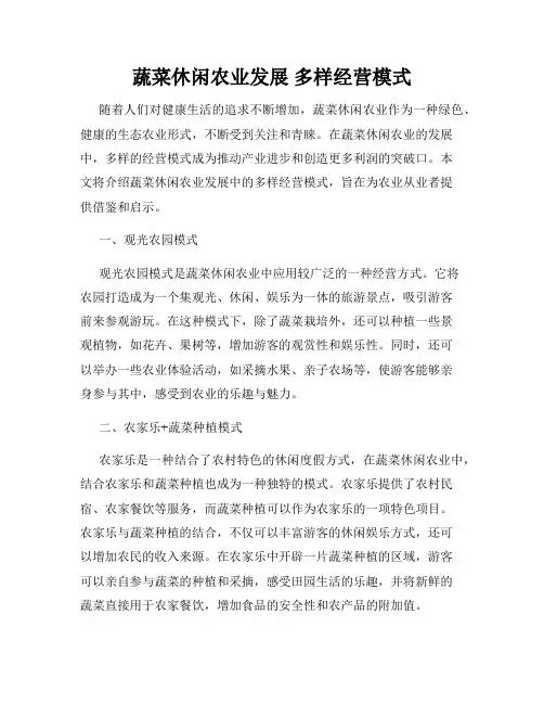 蔬菜休闲农业发展 多样经营模式