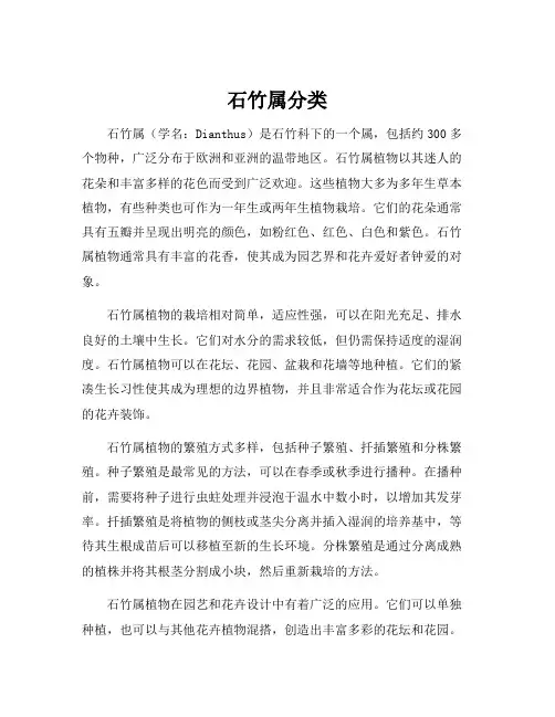 石竹属分类