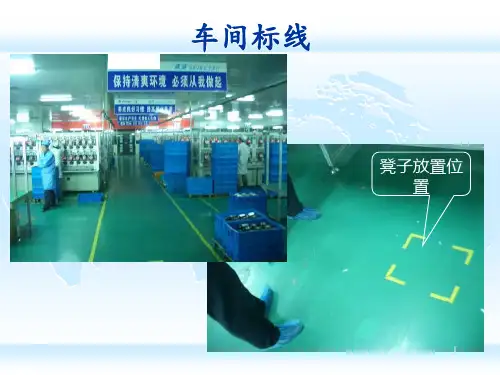 5S及目视管理精编版