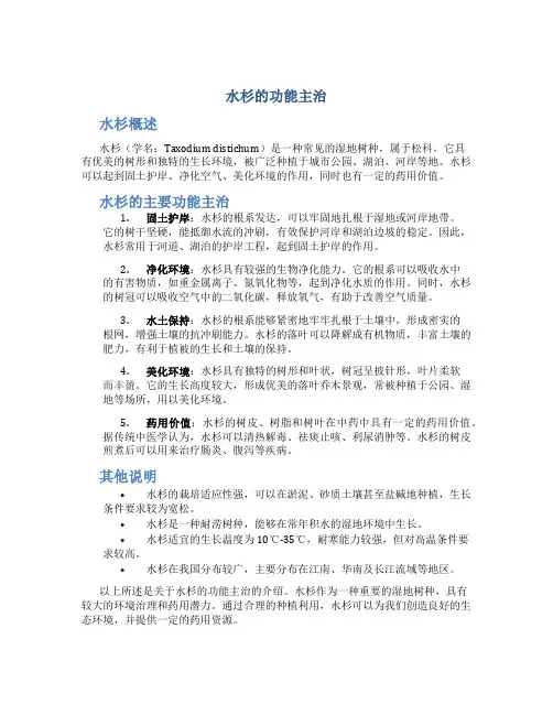 水杉的功能主治是什么