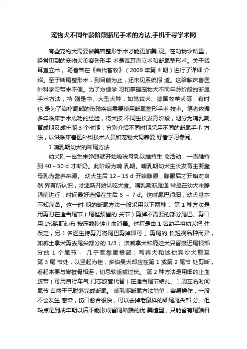 宠物犬不同年龄阶段断尾手术的方法,手机千寻学术网