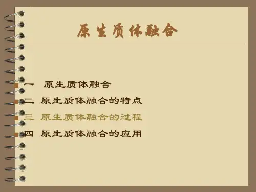 原生质体融合技术简介