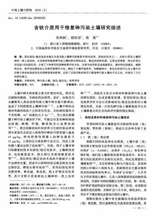 含铁介质用于修复砷污染土壤研究综述