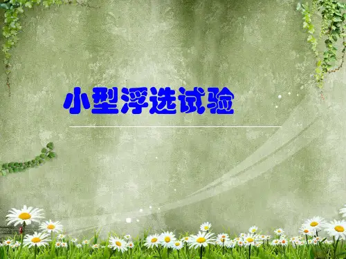 小型浮选试验