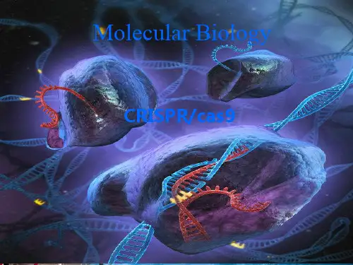 crispr-cas9