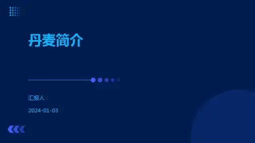 丹麦简介-精品文档