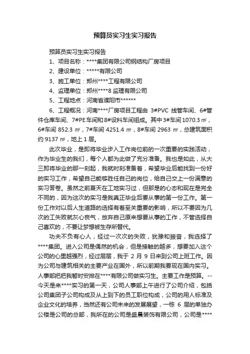 预算员实习生实习报告