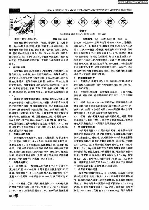 肉鸳鸯养殖技术