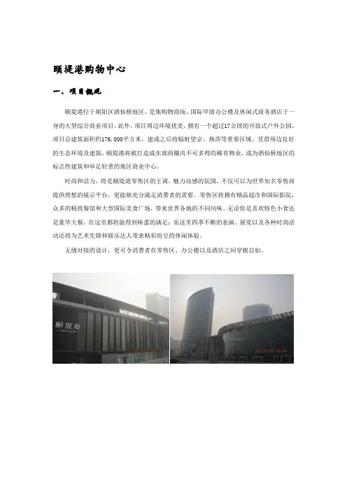购物中心调研-颐堤港