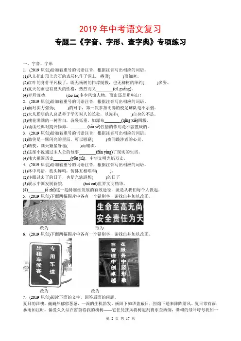 2019年中考语文复习专题二《字音、字形、查字典》专项练习(含答案)