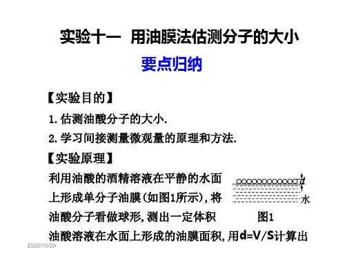高考物理第一轮复习 热学 实验 用油膜法估测分子的大小课件 新人教版