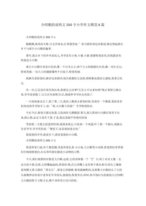 介绍鹅的说明文500字小学作文范例6篇