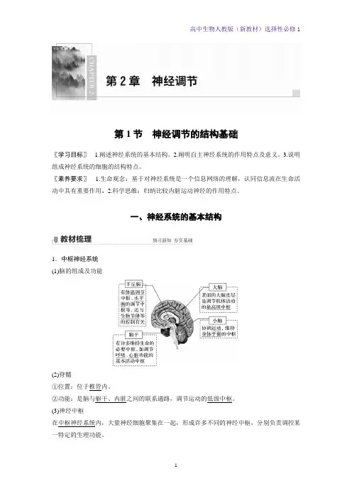 高中生物选修1(新教材)优质学案2-1-神经调节的结构基础 人教版