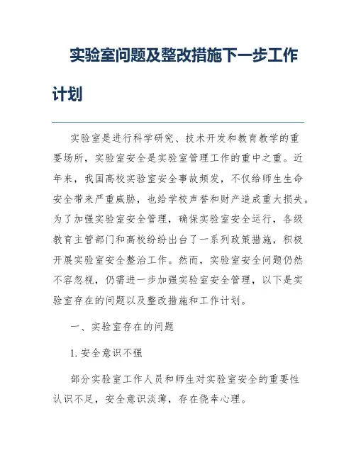实验室问题及整改措施下一步工作计划