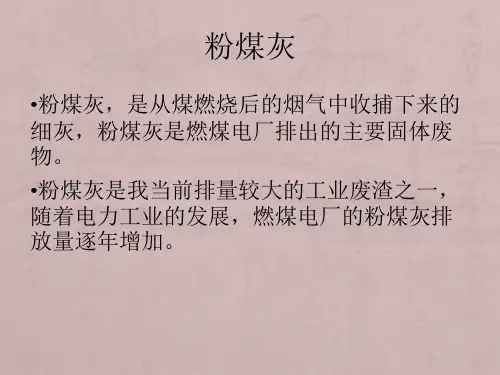 粉煤灰的处理与资源化